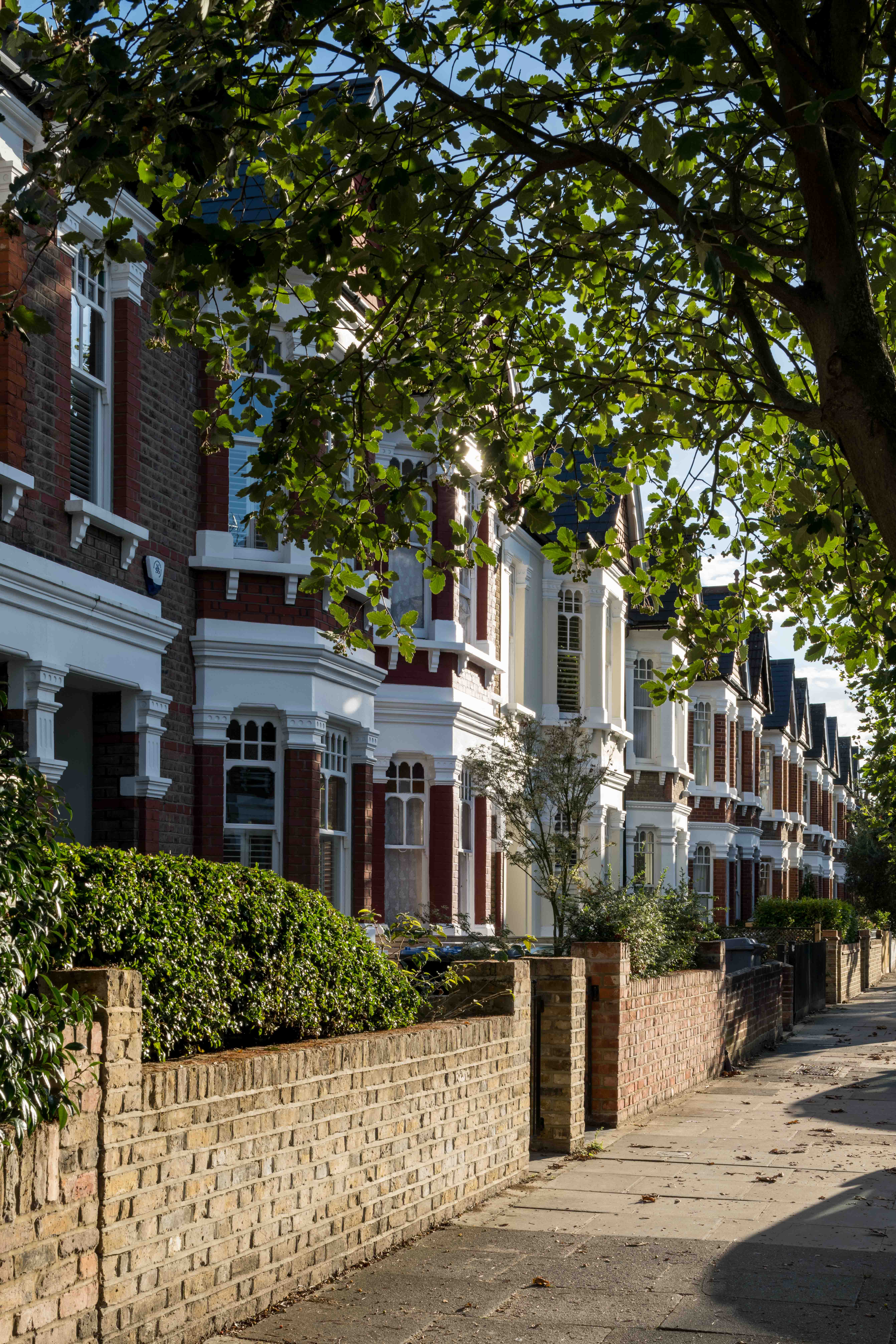 A tree-lined street with traditional London terraced houses, highlighting the harmony of urban living with green spaces, a key principle in sustainable architecture.